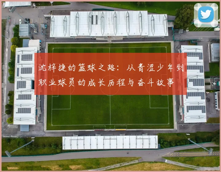 沈梓捷的篮球之路：从青涩少年到职业球员的成长历程与奋斗故事